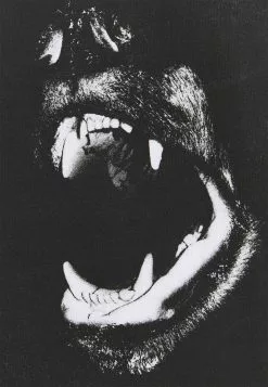 YOURTURN Prix Raisonnable UNISEX - T-shirt imprimé t shirt Col rond all -YOURTURN Soldes 2023 58bb31f561364d32afd21d152180aa2a